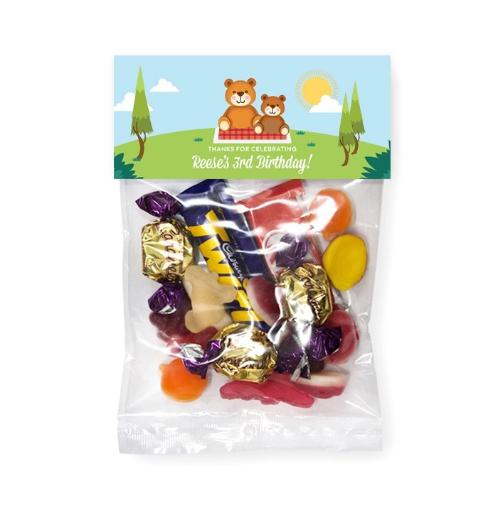 Teddy Bear Picnic Lolly Bags