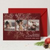 Beautiful Photo Christmas Cards
