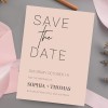 Blush Minimalist Save The Date Cards