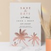 Palm Save The Date Cards