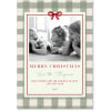 Plaid Christmas Photo Cards, your photo in sage gingham with a red bow