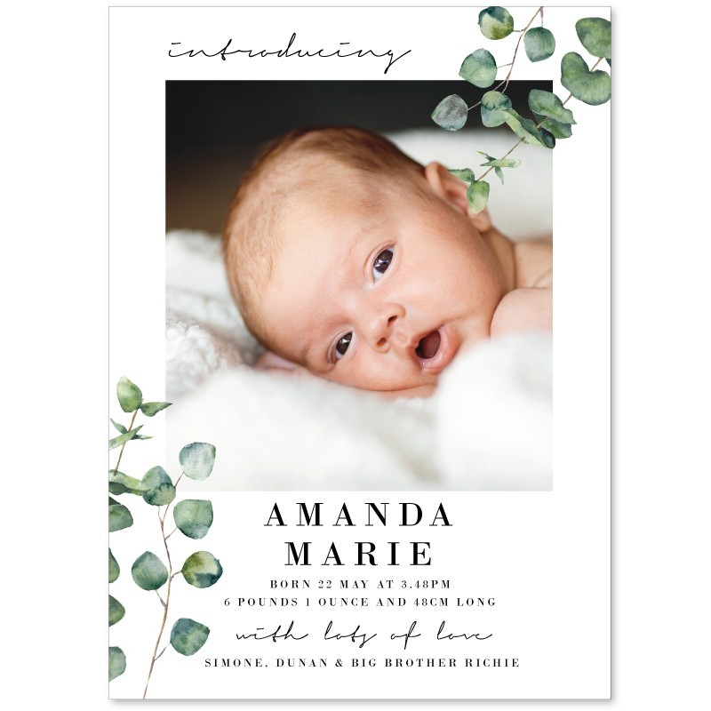 Tree of Life Baby Announcement Cards
