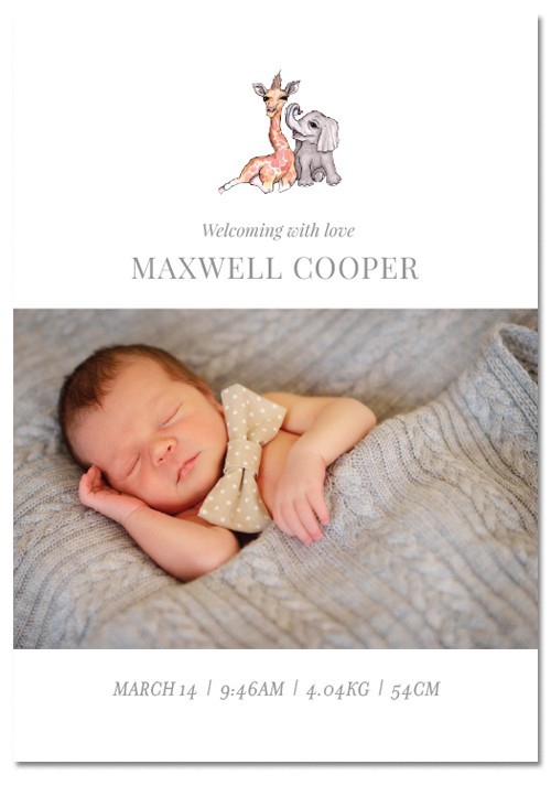 Baby Elephant Birth Announcement