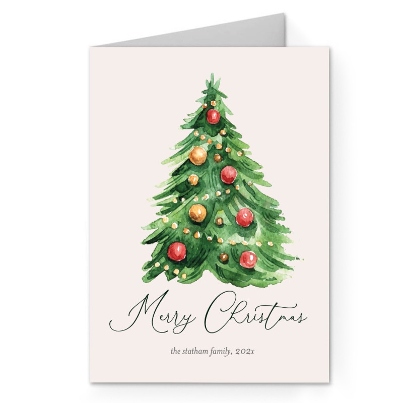 Branches and Merry Christmas Cards