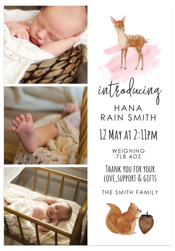 Little Creatures Birth Announcement Cards