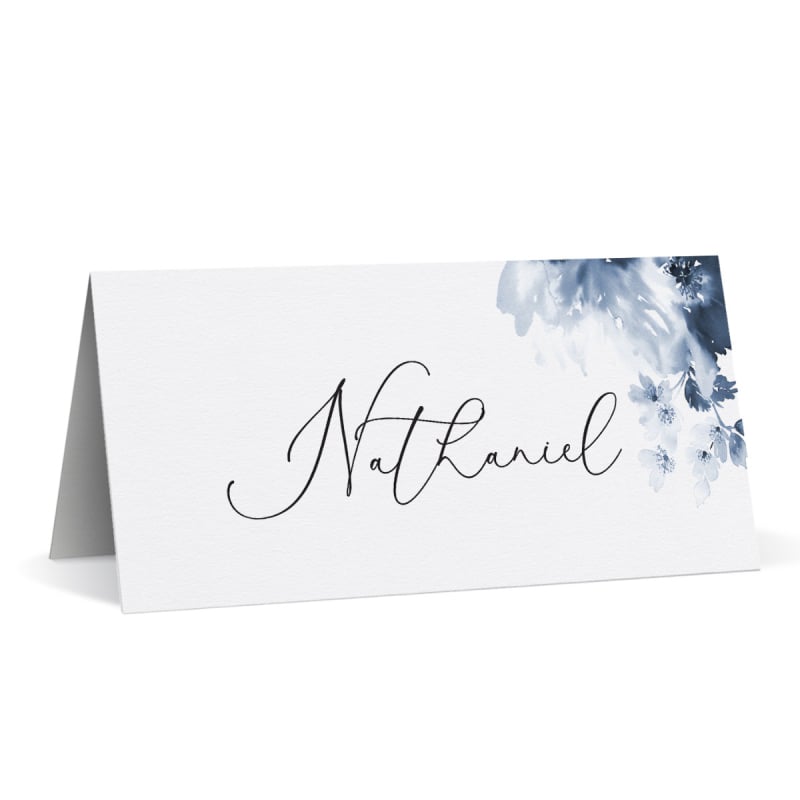 Blue Ink Printed Name Cards