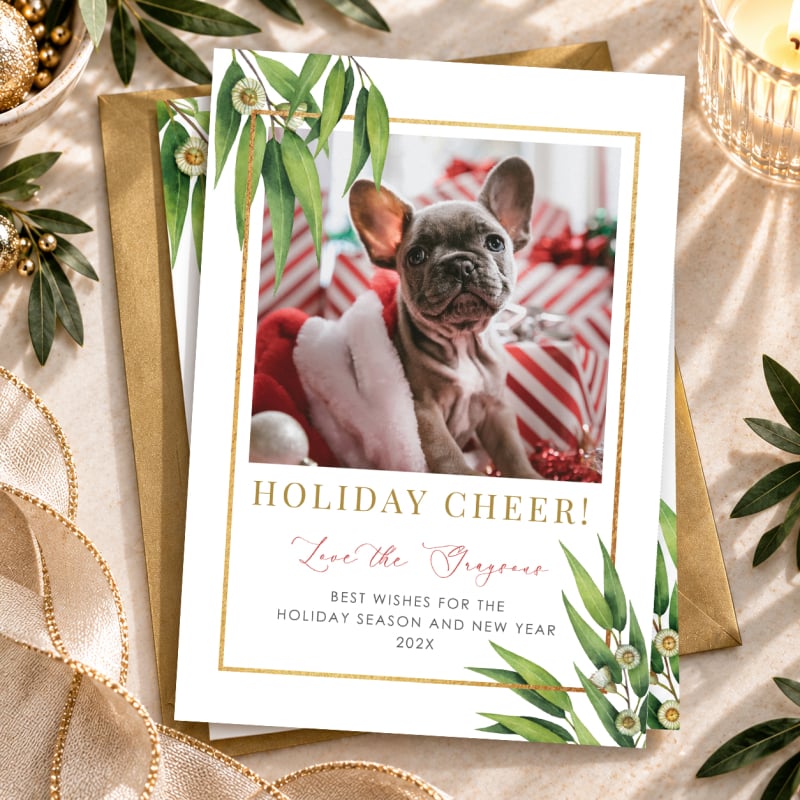 Bush Blessings Christmas Photo Cards