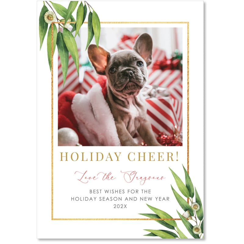 Bush Blessings Christmas Photo Cards