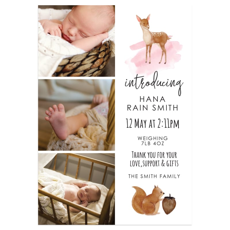 Little Creatures Birth Announcement Cards