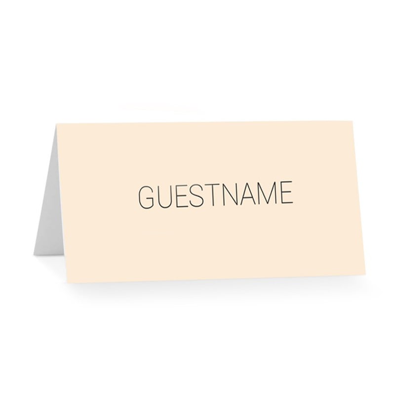 Modern Minimalist Wedding Place Card
