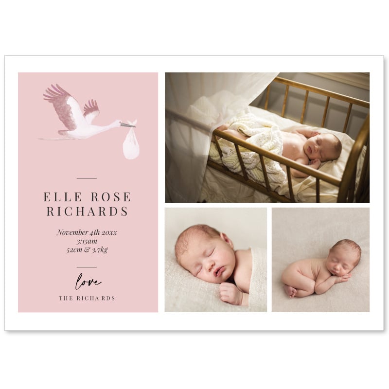 Stork Birth Announcement Cards